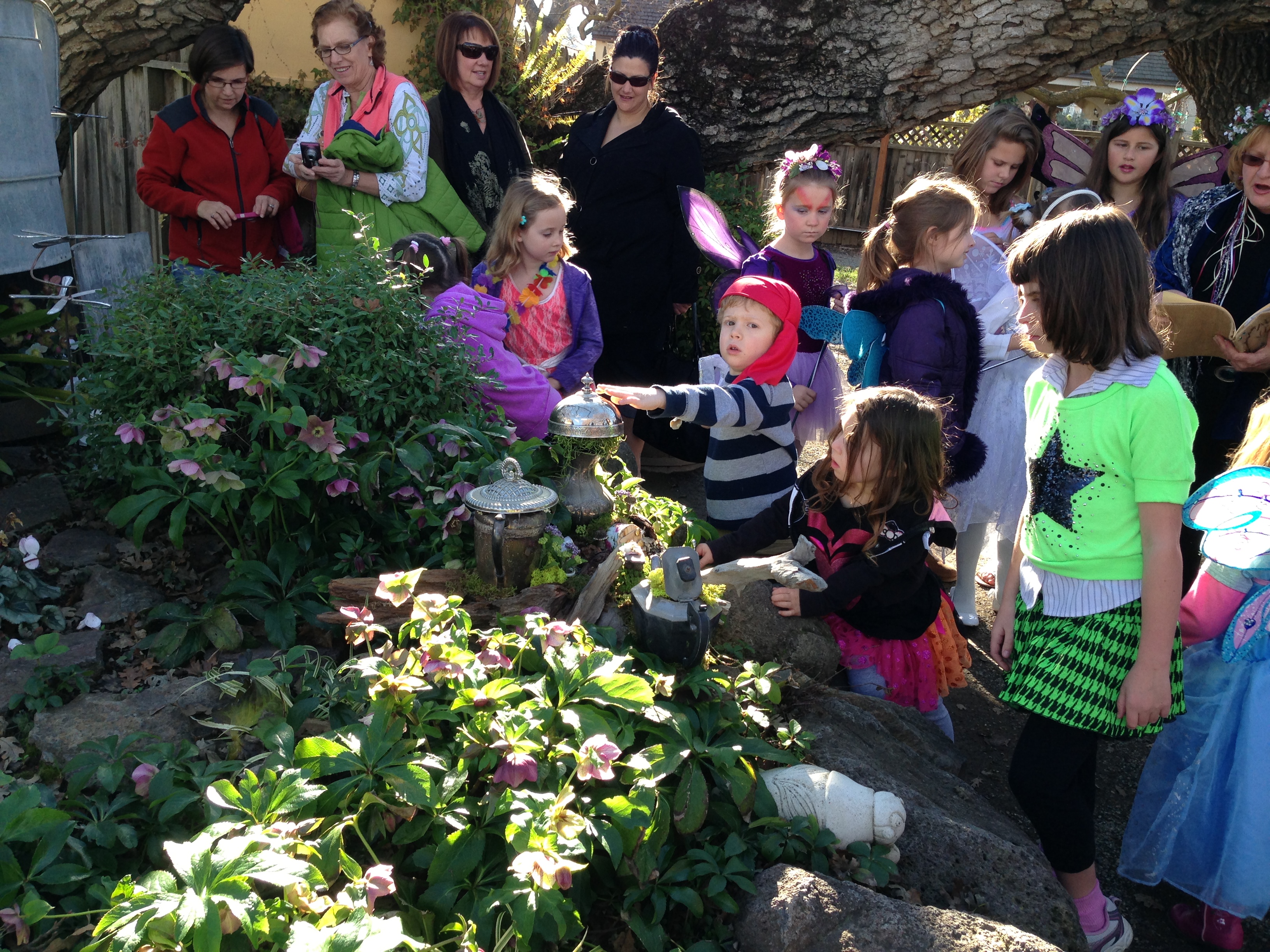 Fairies and Pirates at Alden Lane Nursery